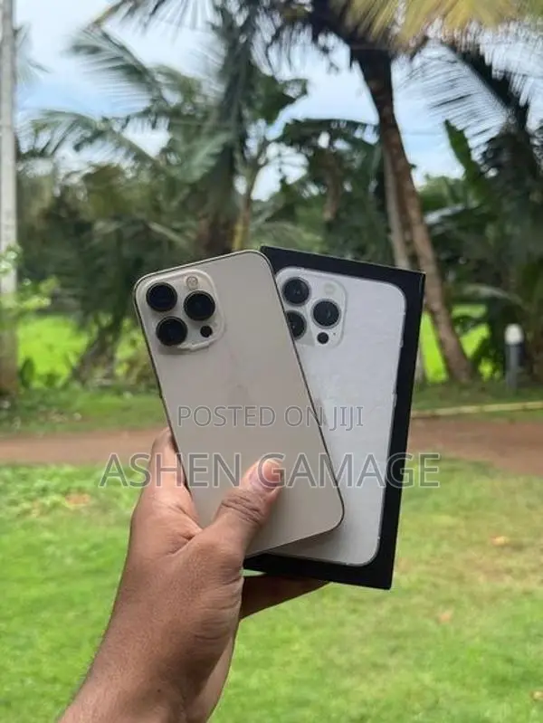 Apple iPhone 13 Pro (Used)