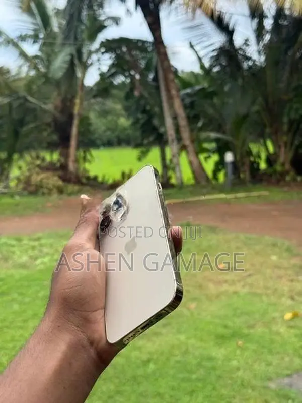 Apple iPhone 13 Pro (Used)