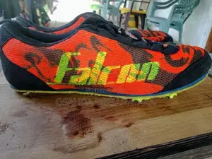 Falcon Running Shoes