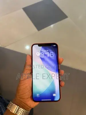 Apple iPhone 12 (Used)