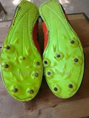 Falcon Running Shoes