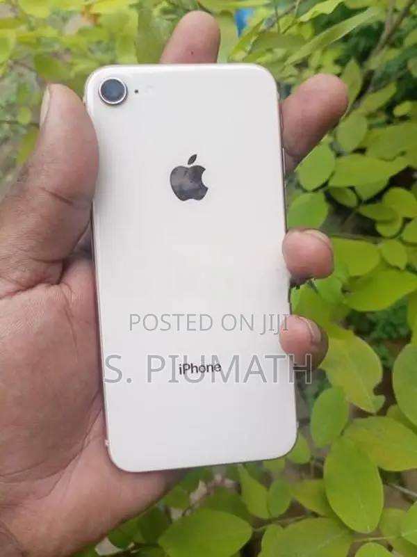 Apple iPhone 8 (Used)