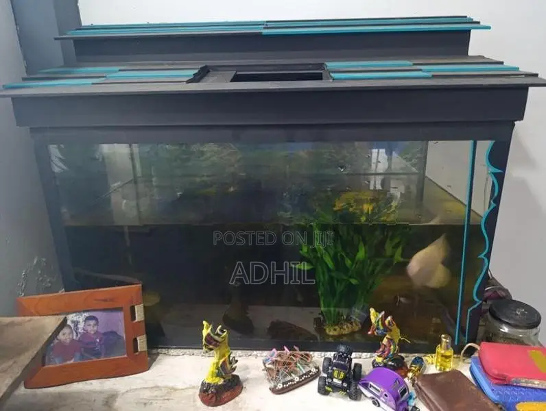Fish Tank