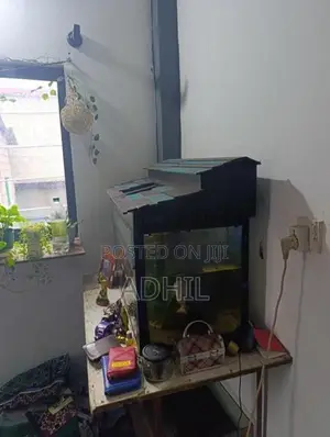 Fish Tank