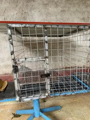 Dog cages