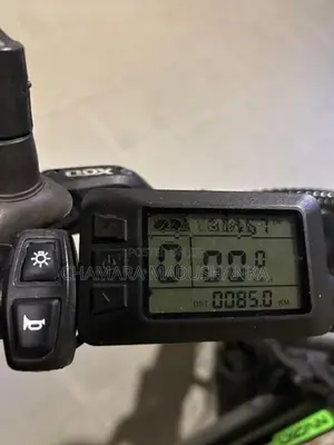 Electric bike