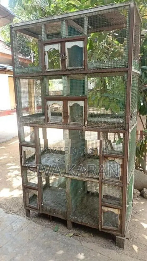 pigeon cage