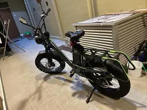 Electric bike
