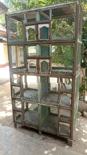 pigeon cage