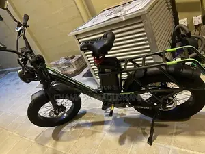 Electric bike