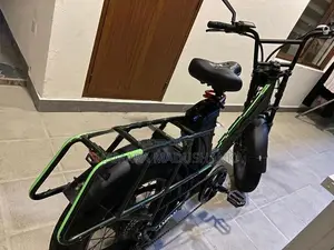 Electric bike