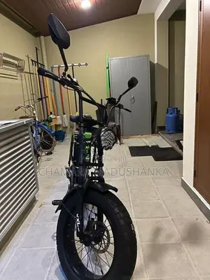 Electric bike