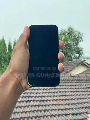 Apple iPhone 15 (Used)