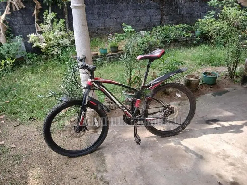 Sport bicycle