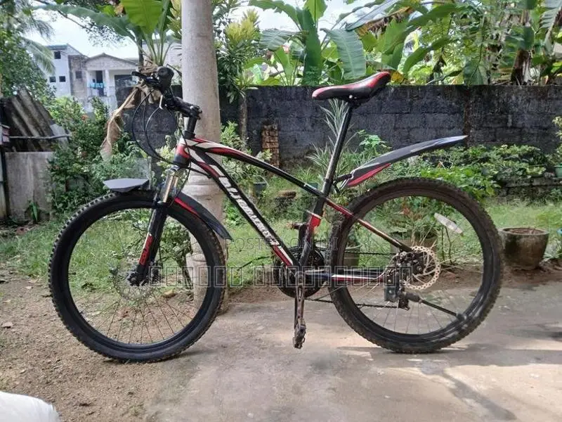 Sport bicycle