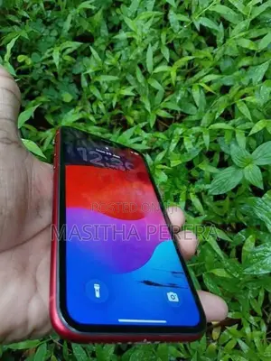 Apple iPhone 11 (Used)