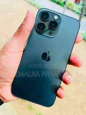 Apple iPhone 13 Pro (Used)