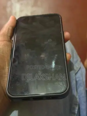 Apple iPhone 12 Pro Max (Used)