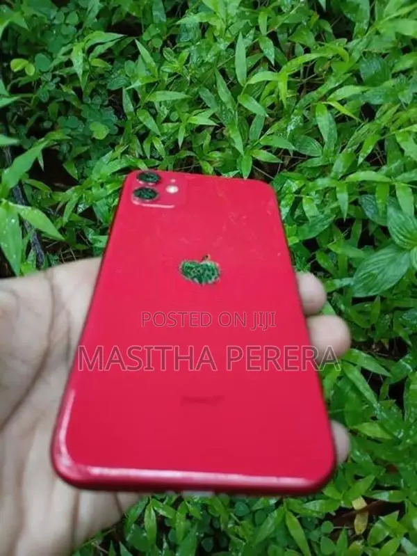 Apple iPhone 11 (Used)