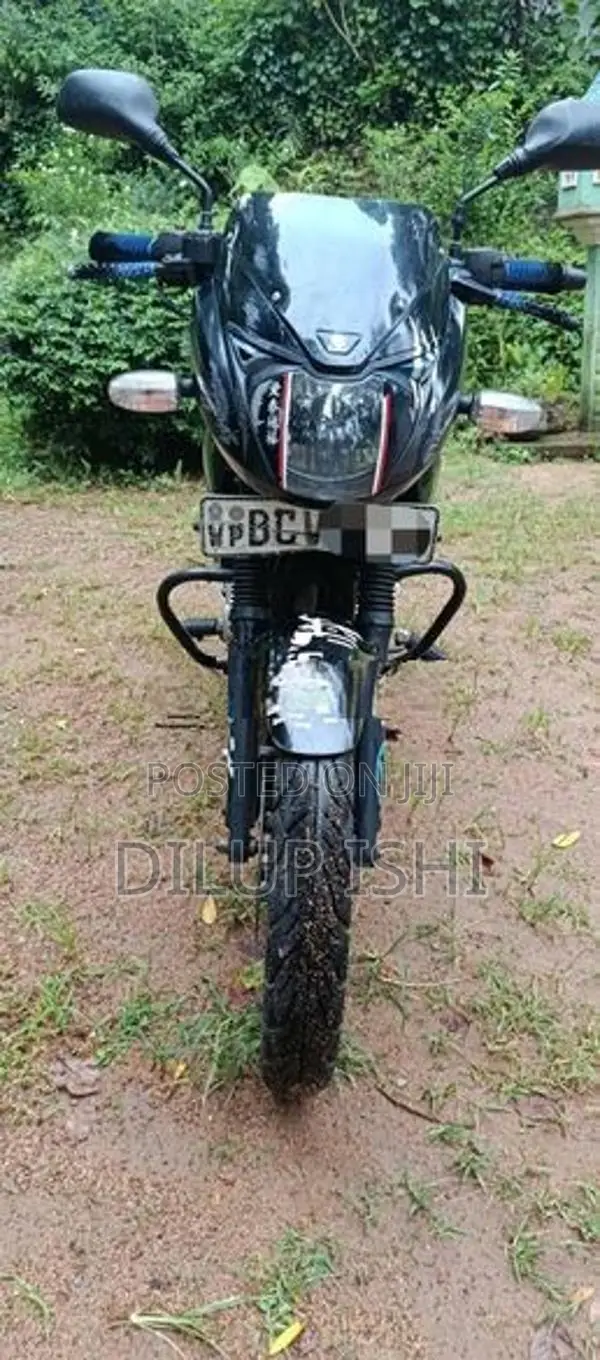 Bajaj Pulsar 150 /2015 2015