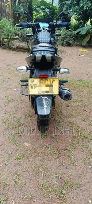 Bajaj Pulsar 150 /2015 2015