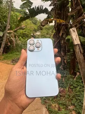 Apple iPhone 13 Pro (Used)