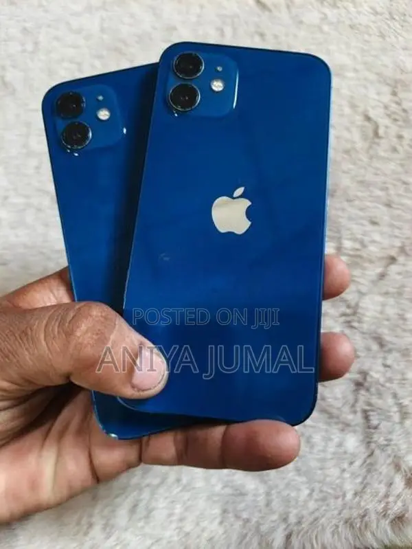 Apple iPhone 12 (Used)