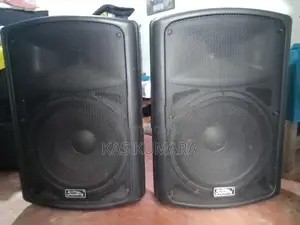 15" Speaker