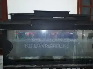Fish Tank