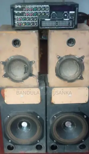 Olan Amplifier with Buffel Set