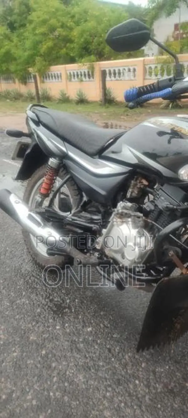 Bajaj Platina 2019