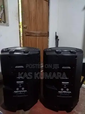 15" Speaker