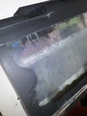 Fish Tank