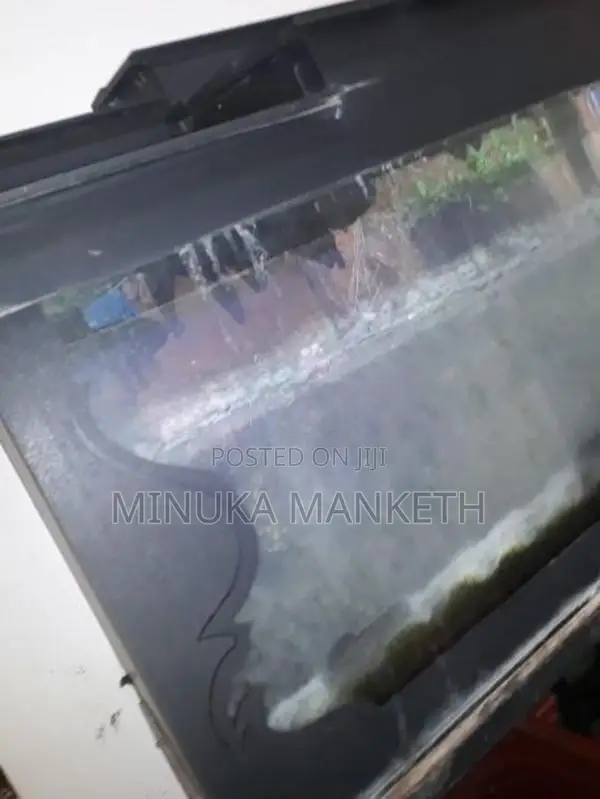 Fish Tank