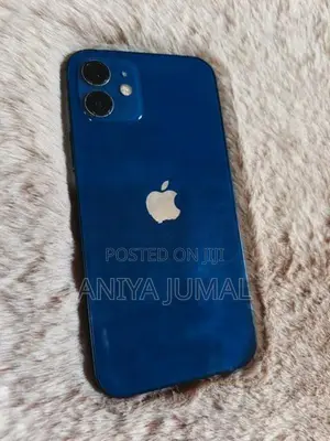 Apple iPhone 12 (Used)