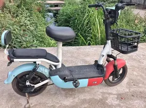 Fulong Electric Bike 2024