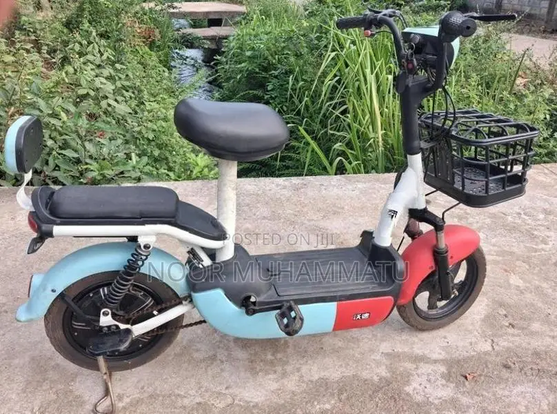 Fulong Electric Bike 2024