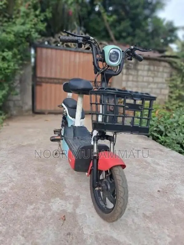 Fulong Electric Bike 2024