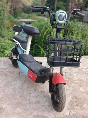 Fulong Electric Bike 2024