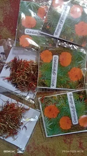 செவ்வந்தி விதை