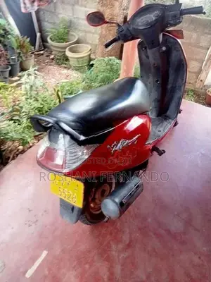 Hero Pleasure 100 2010