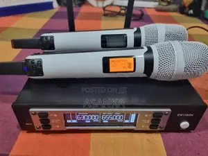 Double Channel Wireless Mic