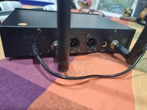 Double Channel Wireless Mic