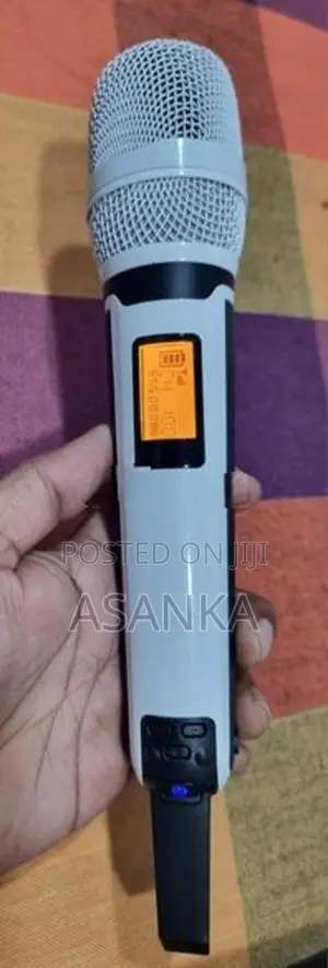 Double Channel Wireless Mic