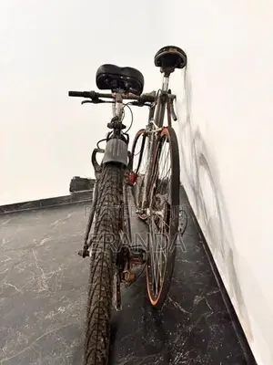 A racing Bicycle with mountain