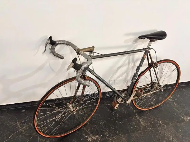 A racing Bicycle with mountain
