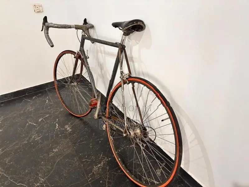 A racing Bicycle with mountain