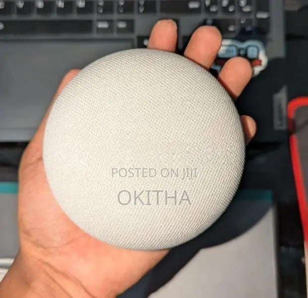 Google Nest Mini 2nd Generation Smart Speaker