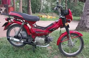 Singer Safari 2018