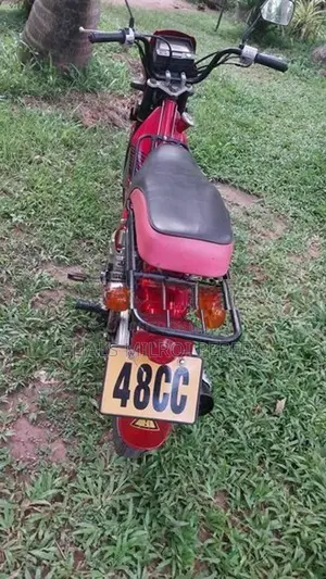 Singer Safari 2018